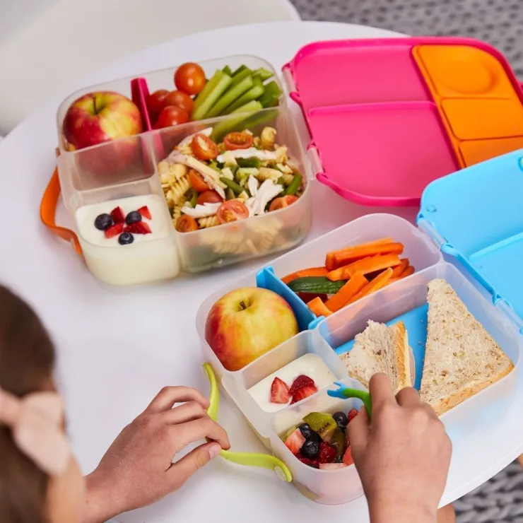 B.Box Lunchboxes>Lunch Box