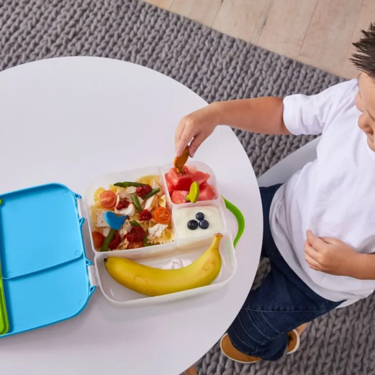 B.Box Lunchboxes>Lunch Box