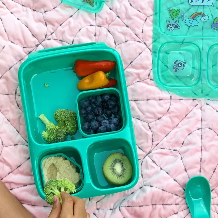 Goodbyn Lunchboxes>Hero (with Dipper Set)