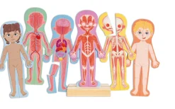 HAPE Jigsaw Puzzles | 3 Years+>Human Body Magnetic Puzzle