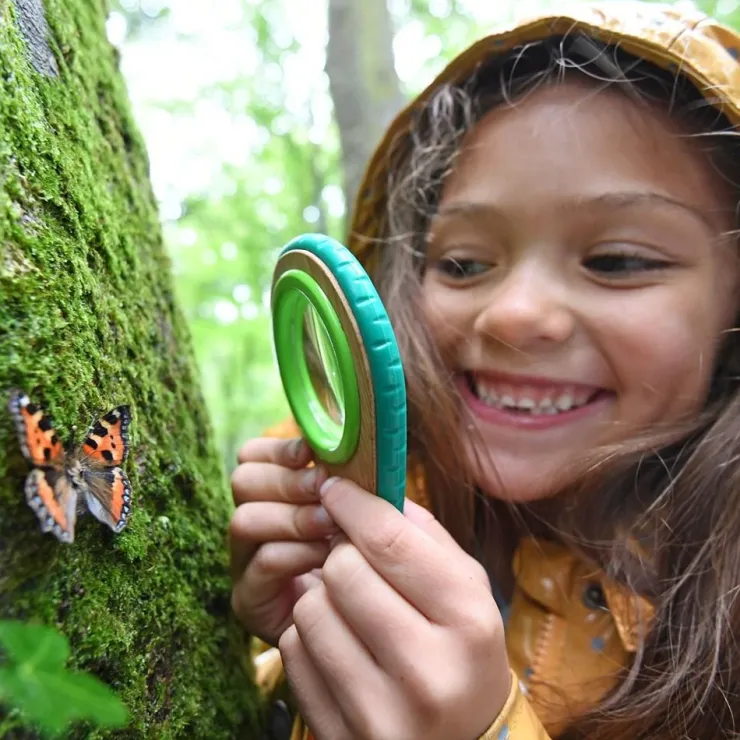 Hape Nature Exploration | Early Development Toys>Nature Detective Set