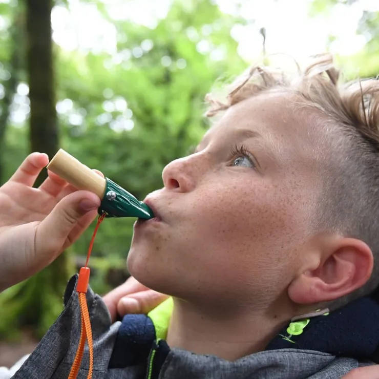 Hape Nature Exploration | Early Development Toys>Nature Detective Set