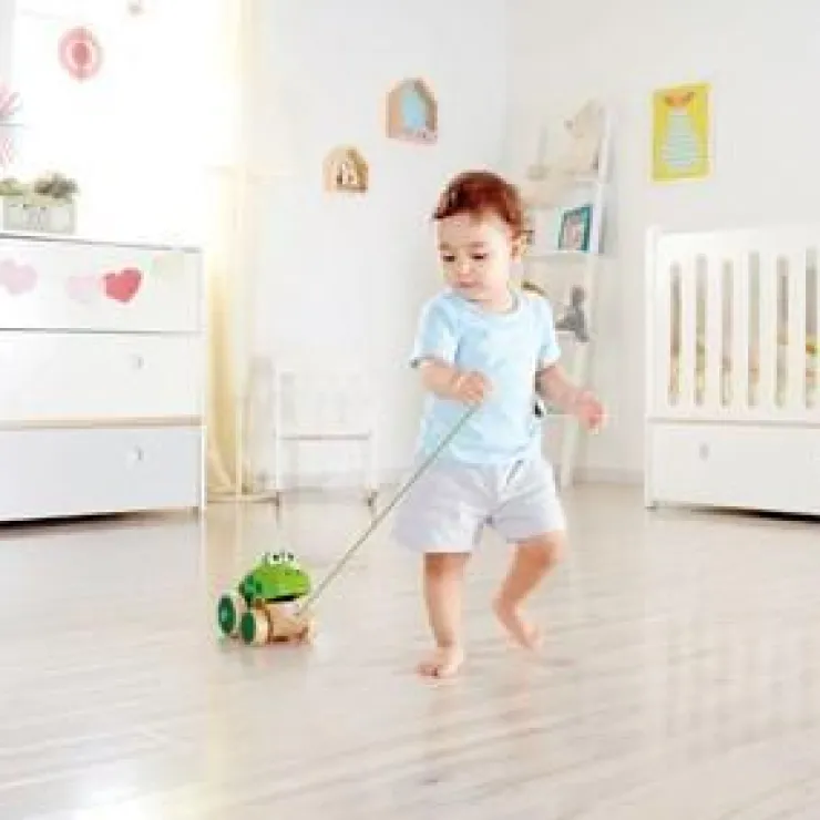Hape Wooden Toys | Push & Pull Toys>Pull along Frog