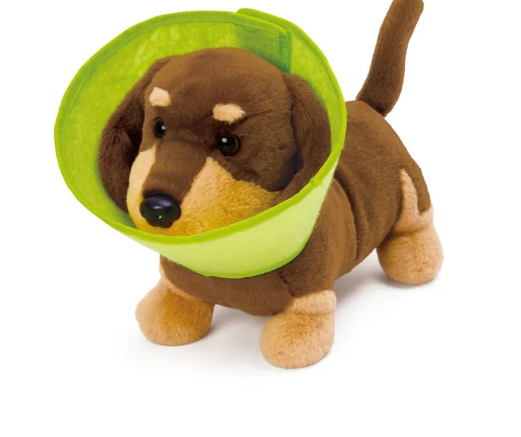 HAPE Pretend Play | 3 Years+>Puppy Care Clinic Vet Set