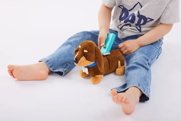 HAPE Pretend Play | 3 Years+>Puppy Care Clinic Vet Set