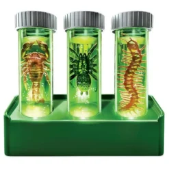 4M Science & Discovery | 5 Years+>KidzLabs Glow Critter Lab