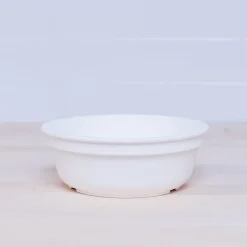 REPLAY Cups, Plates & Cutlery><noscript><img width=