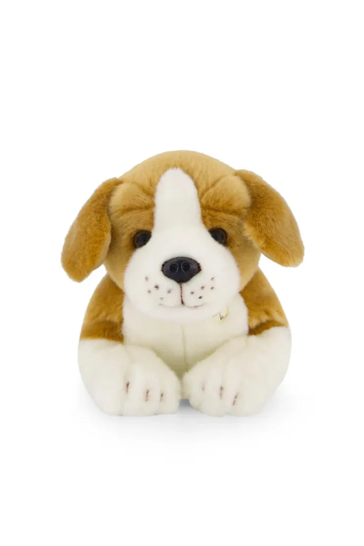 Snuggle Bunny Soft Toys | 0 Months+>Snuggle Bunnies Brooklyn The Beagle