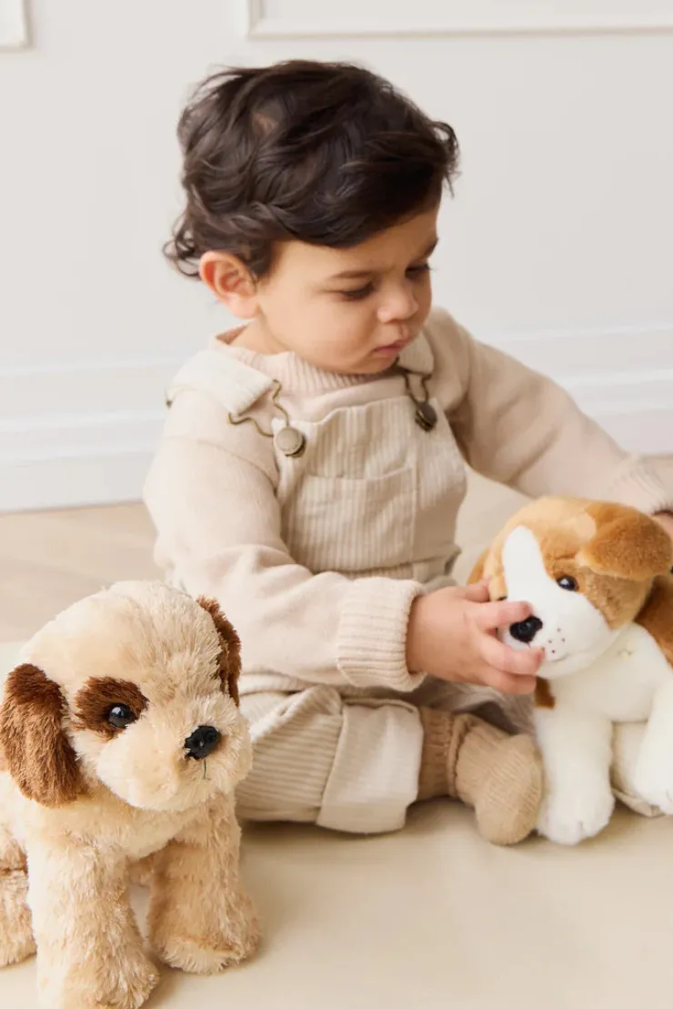 Snuggle Bunny Soft Toys | 0 Months+>Snuggle Bunnies Brooklyn The Beagle