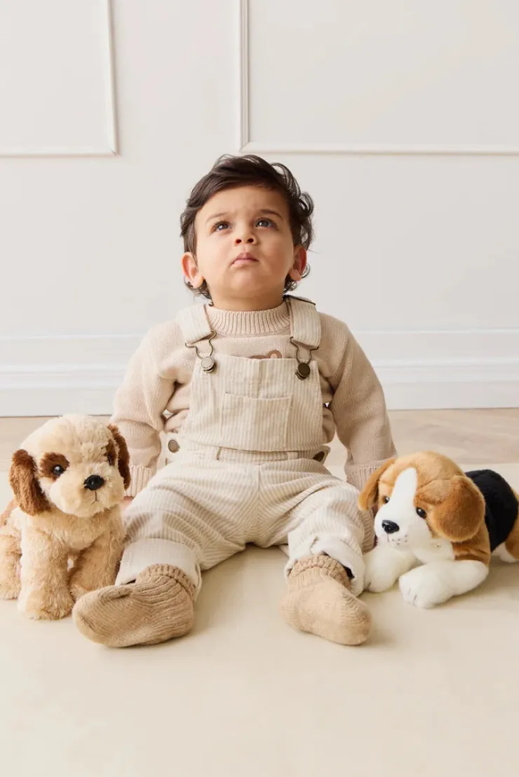 Snuggle Bunny Soft Toys | 0 Months+>Snuggle Bunnies Brooklyn The Beagle