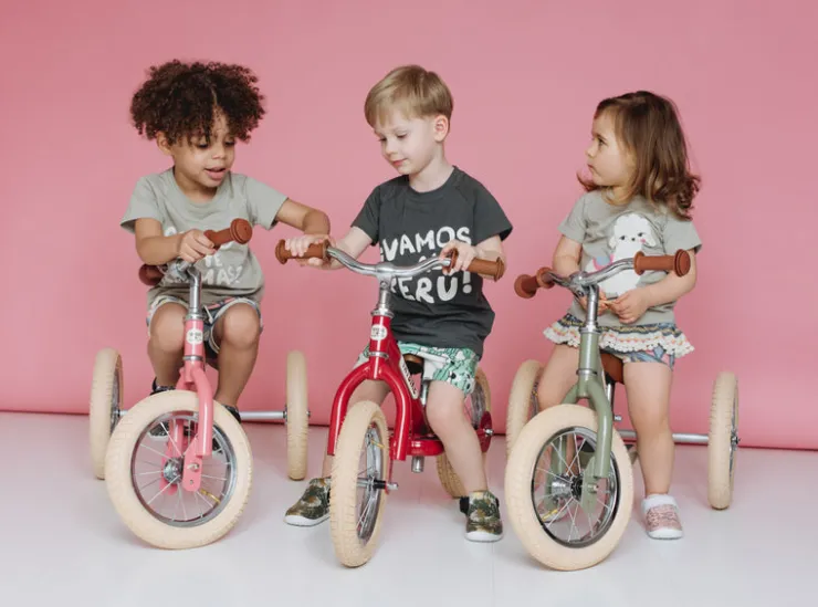 TryBike Trikes & Wagons | Balance Bikes>- Vintage Pink Matte Finish